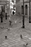 Cityscapes4