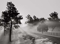 Landscapes