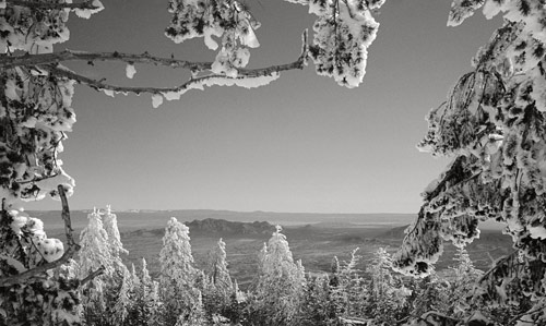 Landscapes4